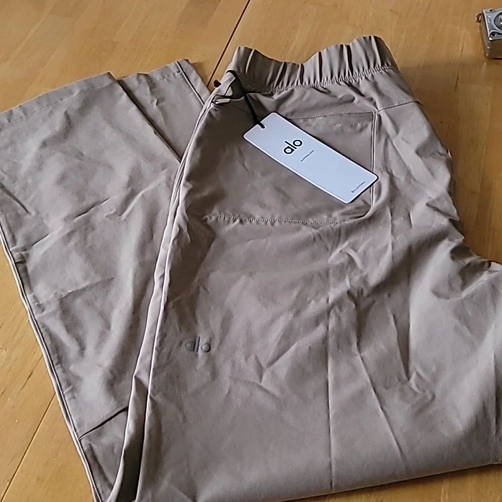 ALO Yoga Repetition Pant - Picture 13 of 13